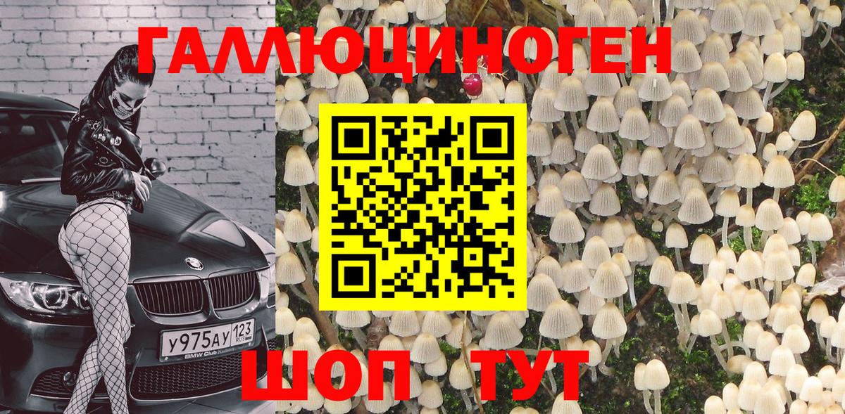 Галлюциногенные грибы MAGIC MUSHROOMS  Вход с VPN  Гусев  где купить   Псилоцибиновые грибы MAGIC MUSHROOMS 
